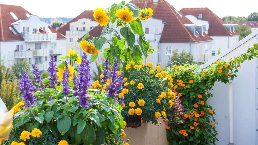 Met deze trucs overleven uw balkonplanten de vakantieperiode